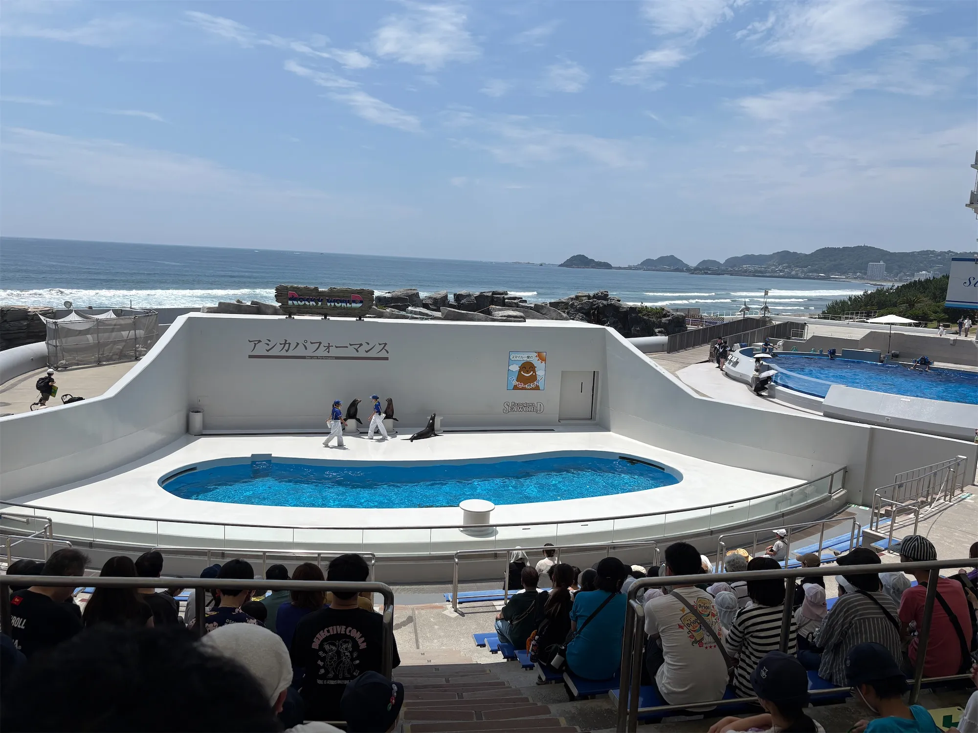 アシカパフォーマンスの会場。海を背にした舞台